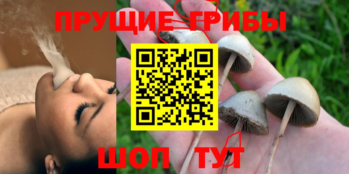 Галлюциногенные грибы MAGIC MUSHROOMS Ликино-Дулёво
